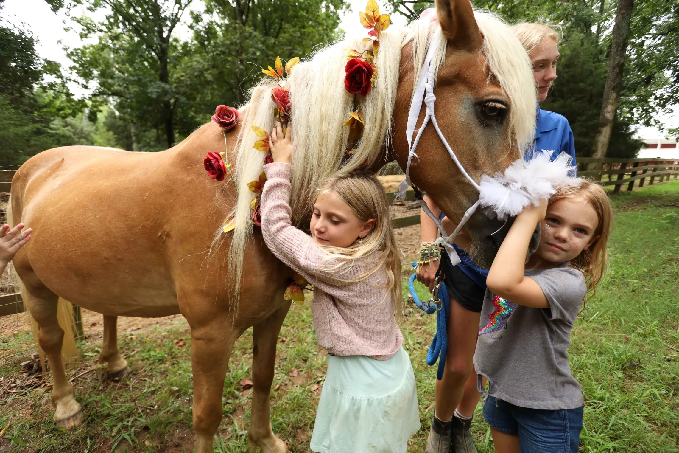 girls hugging horse