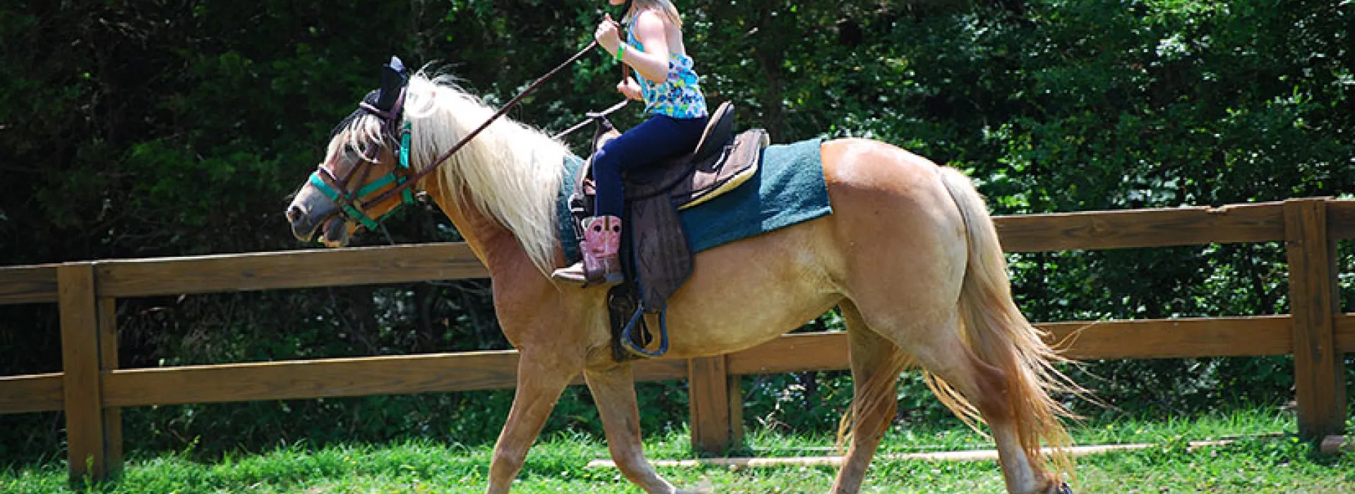 Trail Rides at Camp Widjiwagan, Nashville, TN